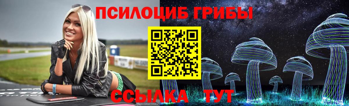 Галлюциногенные грибы мицелий  Псилоцибиновые грибы Psilocybine cubensis  Вязьма  Вход с VPN 